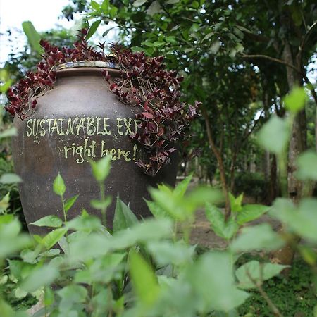 Thuy Bieu Homestay Hue Esterno foto