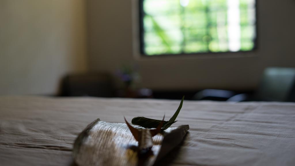 Thuy Bieu Homestay Hue Esterno foto