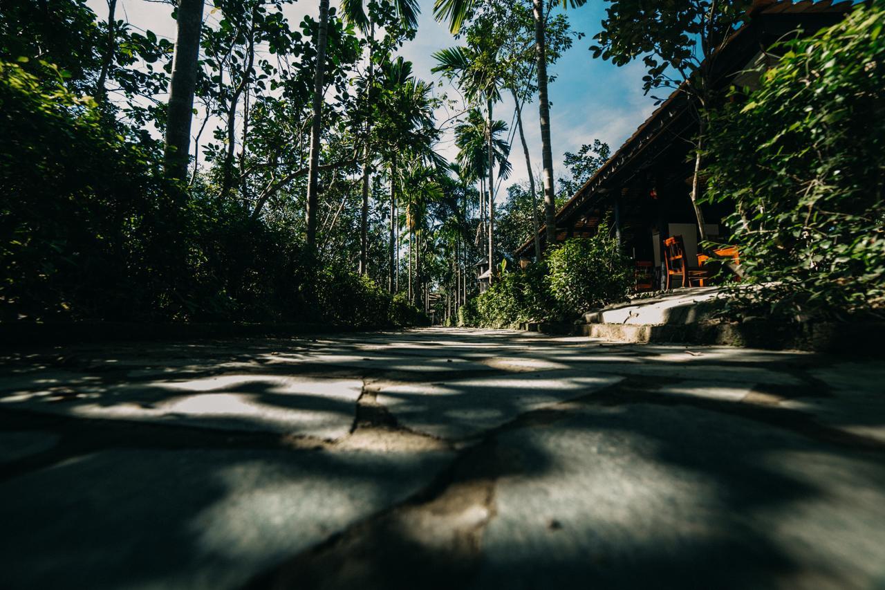 Thuy Bieu Homestay Hue Camera foto