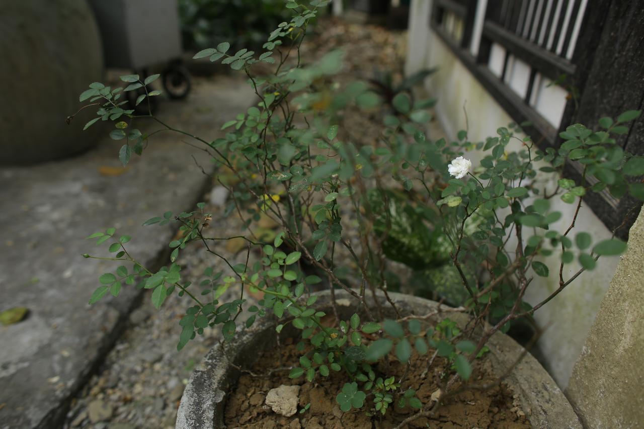 Thuy Bieu Homestay Hue Esterno foto