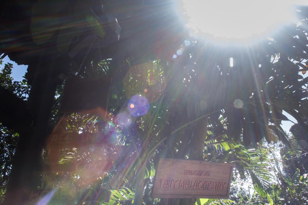 Thuy Bieu Homestay Hue Camera foto